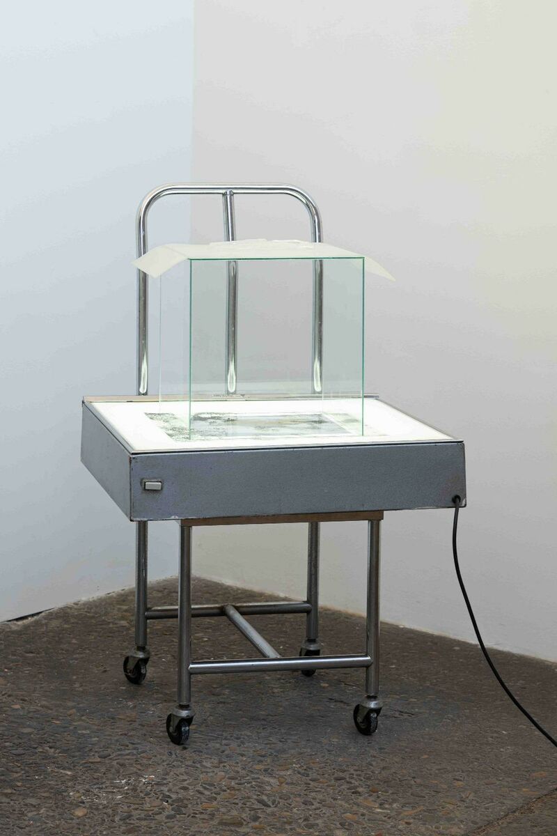 (A Step) Out Of Me  - a Sculpture & Installation by Cristina  Gozzini